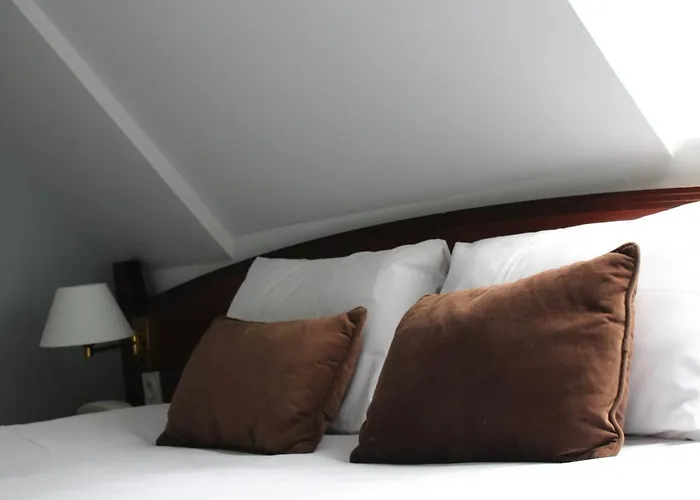 크로커스 메모리얼 2*