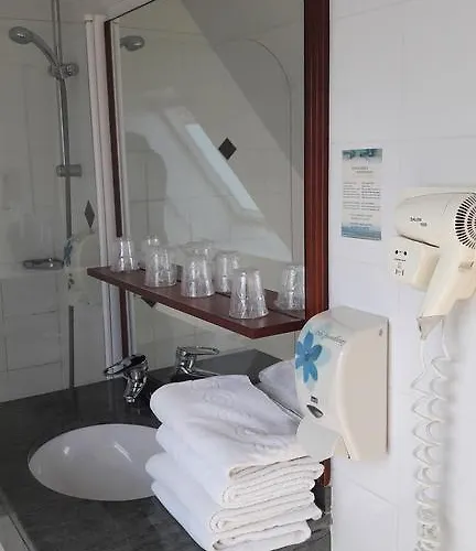 크로커스 메모리얼 캉